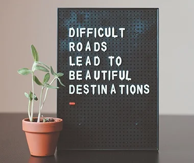 EENDA en el año 2008